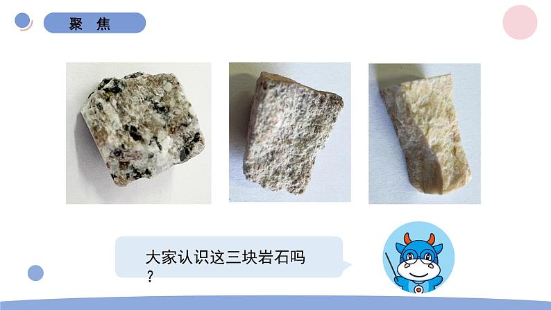 2.各种各样的岩石第2页