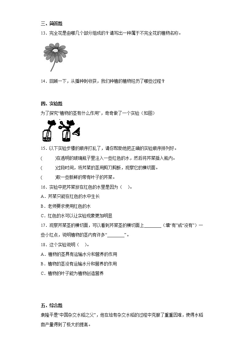 大象版三年级下册 第三单元 植物的一生 单元测试（含答案）02