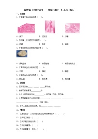 小学苏教版 (2017)1.石头巩固练习