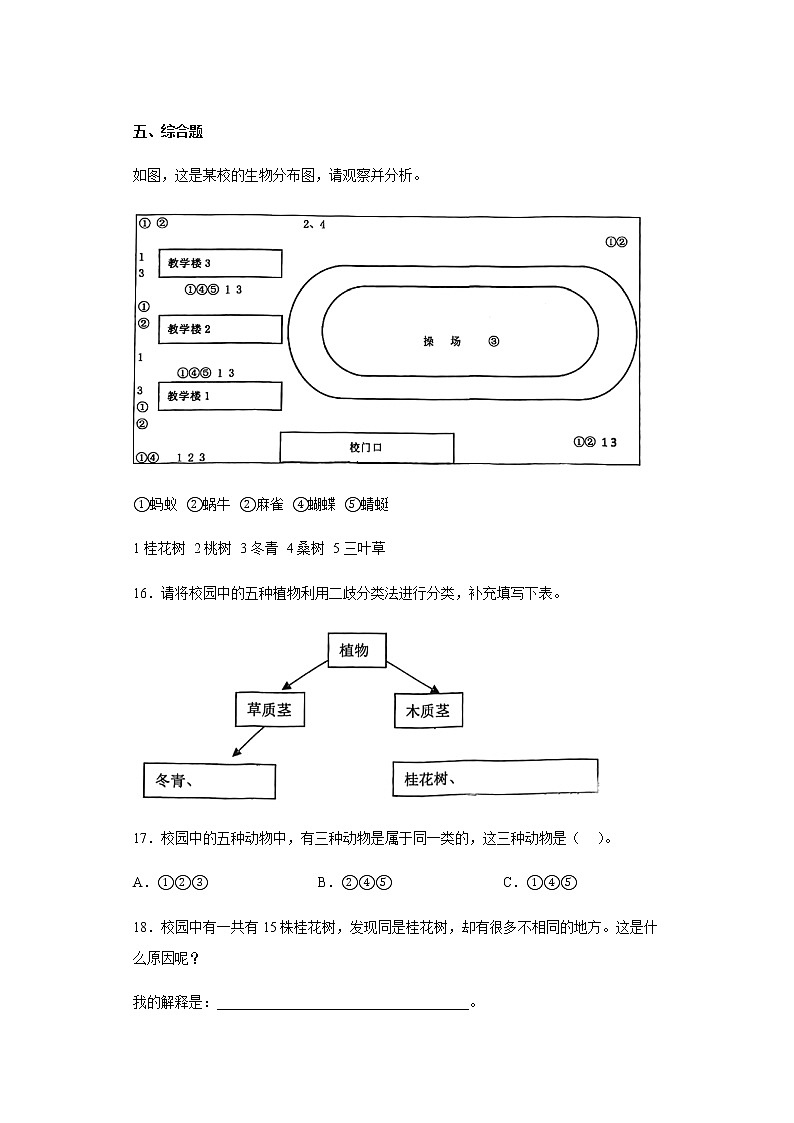 教科版科学六年级下册2.2制作校园生物分布图 同步练习（含答案）03