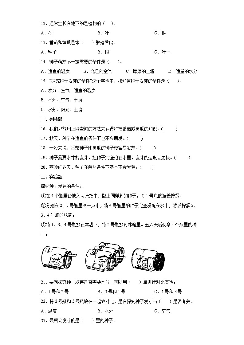 苏教版科学三年级下册1.1 种子发芽了 同步练习（含答案）02