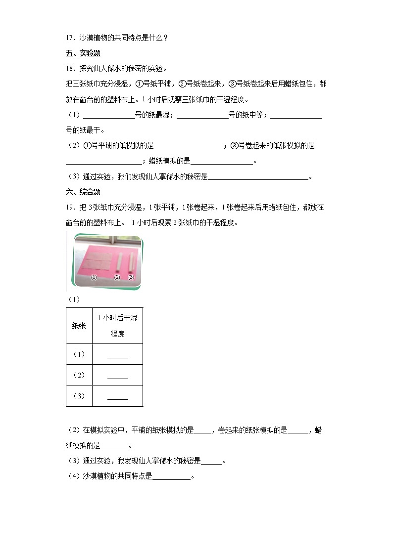 苏教版科学三年级下册2.6沙漠中的植物 同步练习（含答案）02
