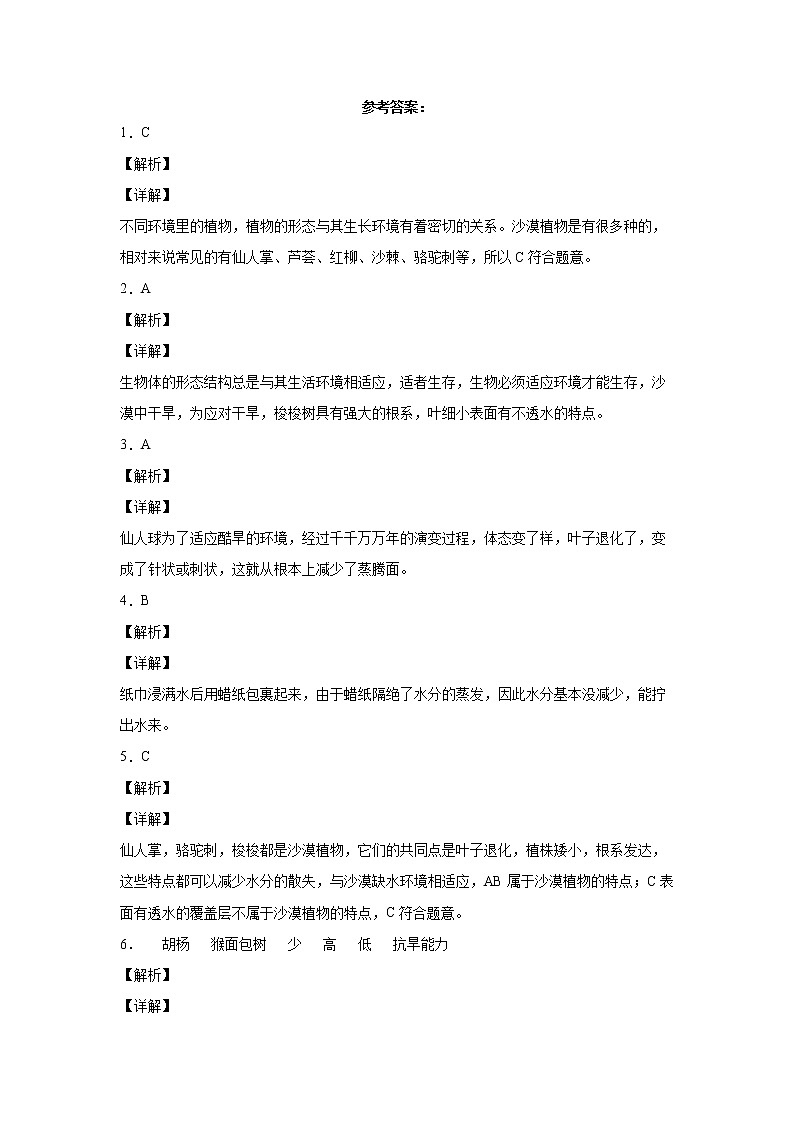 苏教版科学三年级下册2.6沙漠中的植物 同步练习（含答案）03