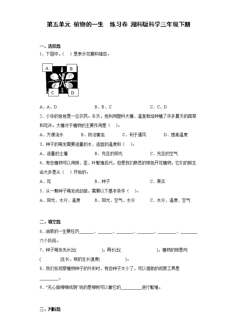 湘科版科学三年级下册 第五单元 植物的一生 练习题 （含答案）01