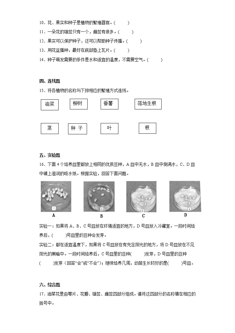 湘科版科学三年级下册 第五单元 植物的一生 练习题 （含答案）02