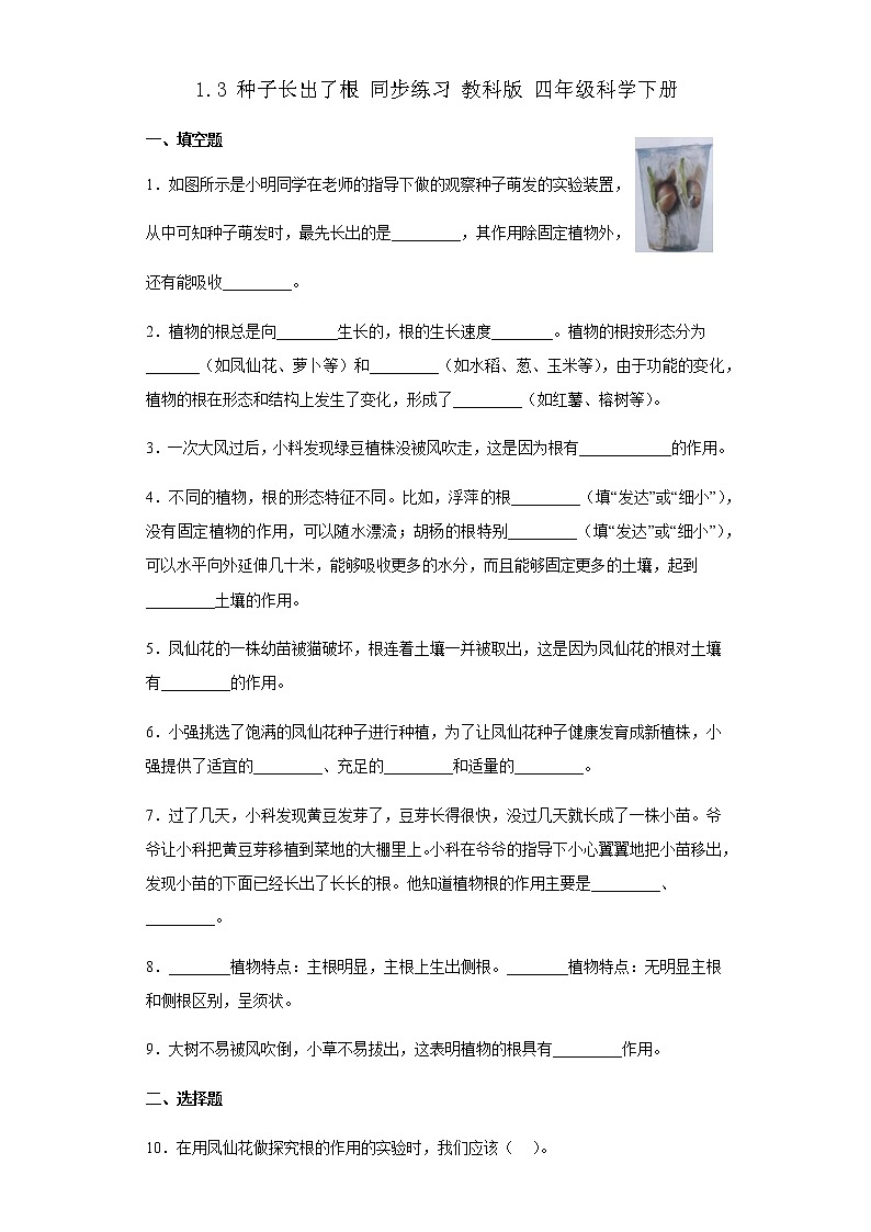 教科版科学四年级下册 1.3 种子长出了根 同步练习（含答案）01