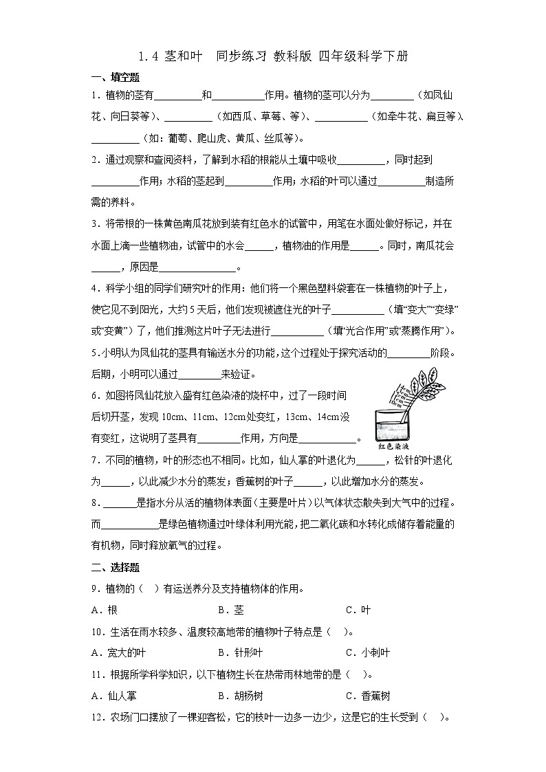 教科版科学四年级下册 1.4茎和叶 同步练习（含答案）第1页