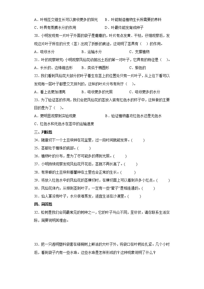 教科版科学四年级下册 1.4茎和叶 同步练习（含答案）第3页