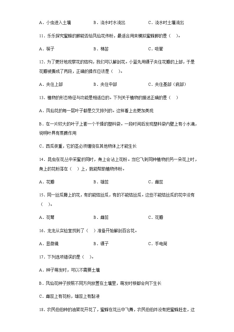 教科版科学四年级下册 1.5凤仙花开花了 同步练习（含答案）第2页