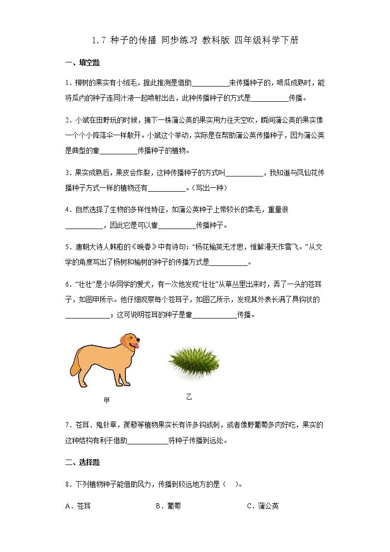 教科版科学四年级下册 1.7 种子的传播 同步练习（含答案）01
