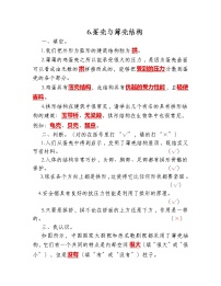 小学科学苏教版 (2017)五年级下册6 蛋壳与拱形建筑练习