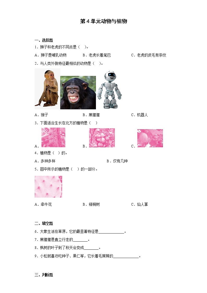 苏教版科学一年级下册 第四单元《动物与植物》 练习题 （含答案）01