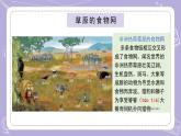 蘇教版科學(xué)六年級下冊2.6有趣的食物鏈 教案+課件PPT