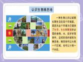 蘇教版科學(xué)六年級(jí)下冊(cè)2.5多樣的棲息地 教案+課件PPT