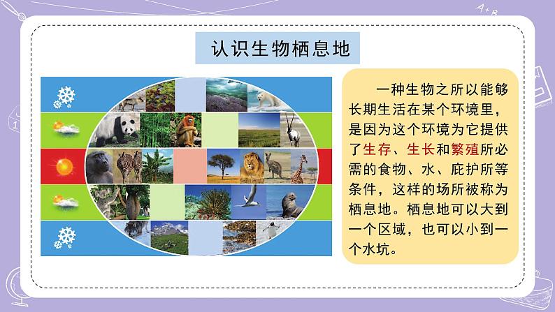 苏教版科学六年级下册2.5多样的栖息地 教案+课件PPT02