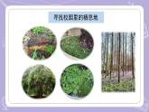 蘇教版科學(xué)六年級(jí)下冊(cè)2.5多樣的棲息地 教案+課件PPT