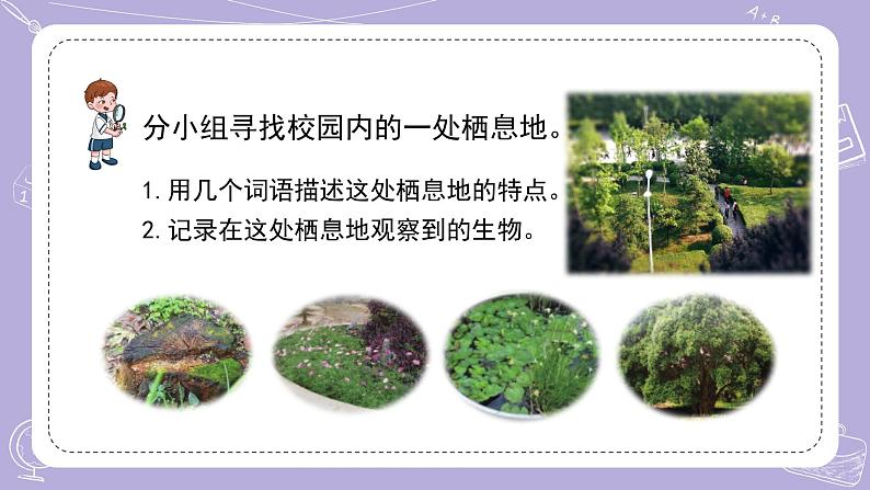 苏教版科学六年级下册2.5多样的栖息地 教案+课件PPT04