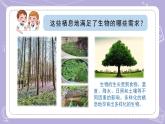 蘇教版科學(xué)六年級(jí)下冊(cè)2.5多樣的棲息地 教案+課件PPT