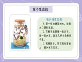 蘇教版科學(xué)六年級(jí)下冊(cè)2.7做個(gè)生態(tài)瓶 教案+課件PPT+素材