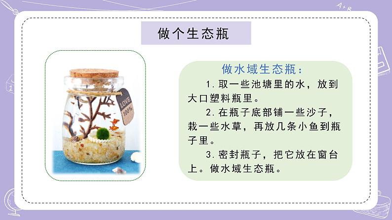 苏教版科学六年级下册2.7做个生态瓶 教案+课件PPT+素材05