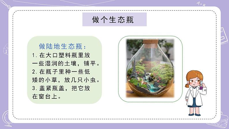 苏教版科学六年级下册2.7做个生态瓶 教案+课件PPT+素材06
