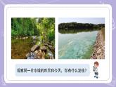 苏教版科学六年级下册4.13洁净的水域 教案+课件PPT+视频素材