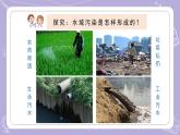 苏教版科学六年级下册4.13洁净的水域 教案+课件PPT+视频素材