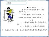 青岛版 五年级下册2神经系统 课件PPT