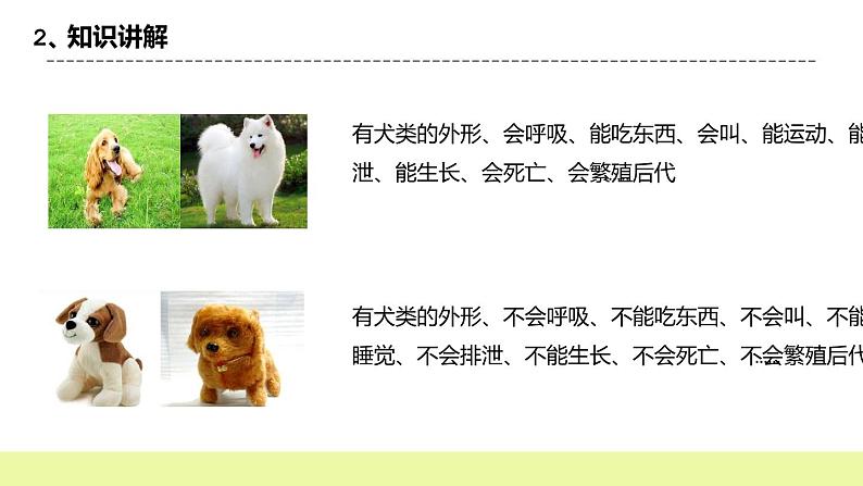 冀人版科学三年级下册1.1《生物与非生物》授课课件第6页