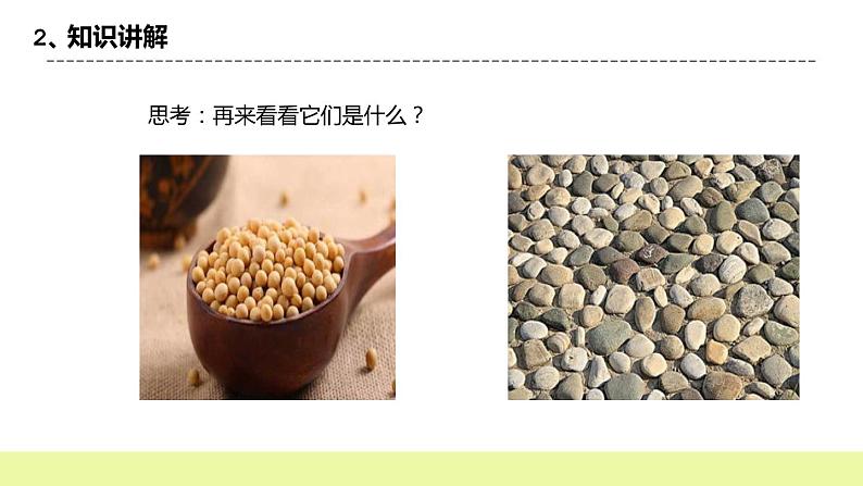 冀人版科学三年级下册1.1《生物与非生物》授课课件第7页