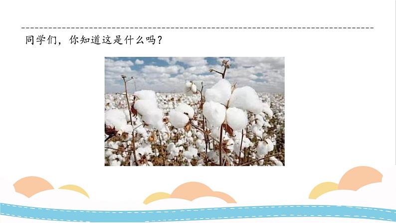 冀人版科学三年级下册1.3 植物与我们的生活 授课课件+视频03