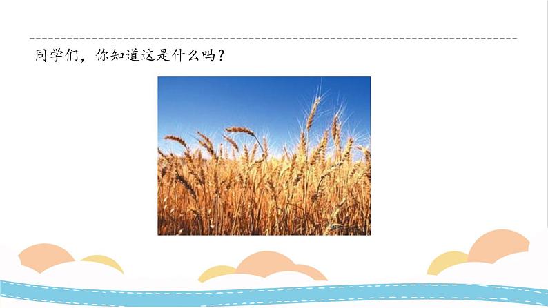 冀人版科学三年级下册1.3 植物与我们的生活 授课课件+视频04