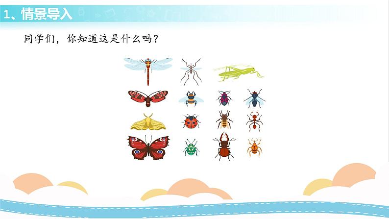 冀人版科学三年级下册1.5 昆虫 授课课件+视频03