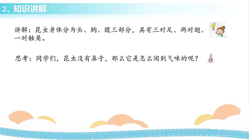 冀人版科学三年级下册1.5 昆虫 授课课件+视频08