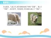冀人版科学三年级下册2.3动物的换毛与换羽 授课课件+视频