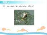 冀人版科学三年级下册2.4动物的特殊感官 授课课件+视频