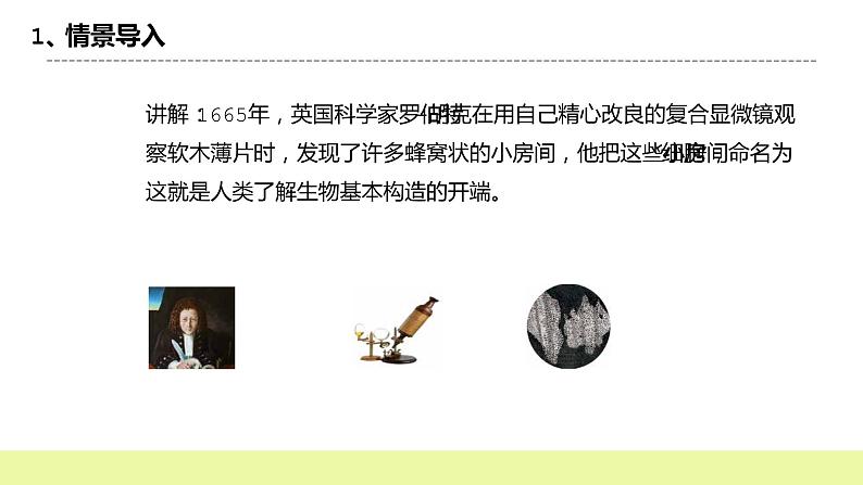 冀人版科学五年级下册4.2观察细胞 课件+视频04