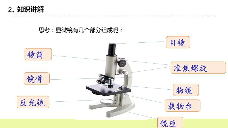 冀人版科学五年级下册4.2观察细胞 课件+视频06