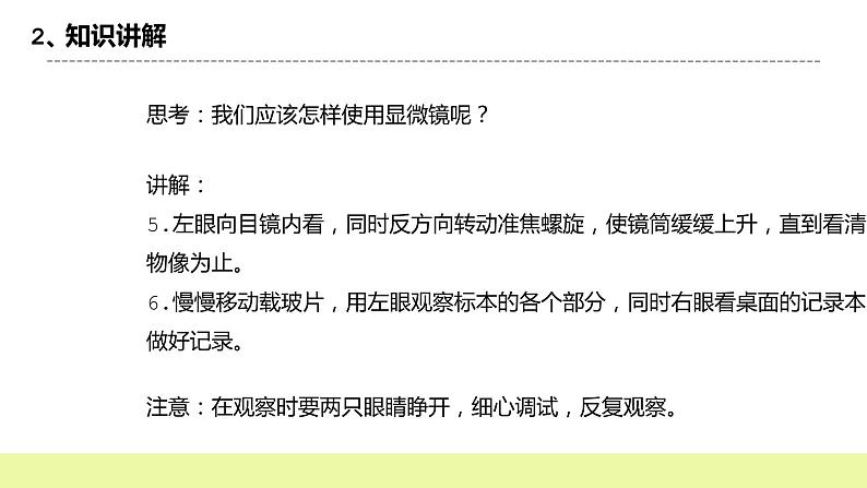 冀人版科学五年级下册4.2观察细胞 课件+视频08