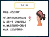 新青岛版科学六年级下册 第一单元复习PPT