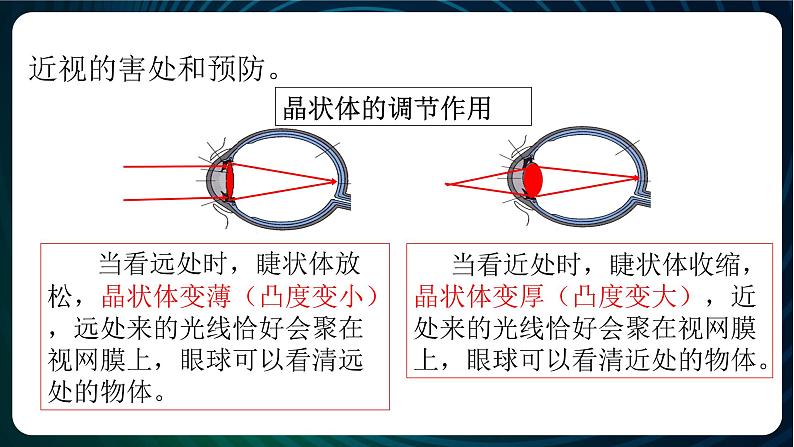 新青岛版科学六年级下册 第一单元复习PPT08