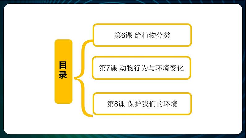 新青岛版科学六年级下册 第二单元复习PPT02