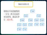 新青岛版科学六年级下册 第二单元复习PPT