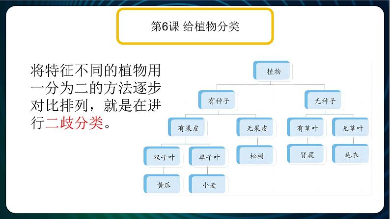 新青岛版科学六年级下册 第二单元复习PPT03