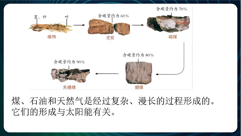 新青岛版科学六年级下册 第三单元复习PPT04