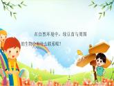 教科版小学科学五年级下册 第6课时  食物链和食物网 课件