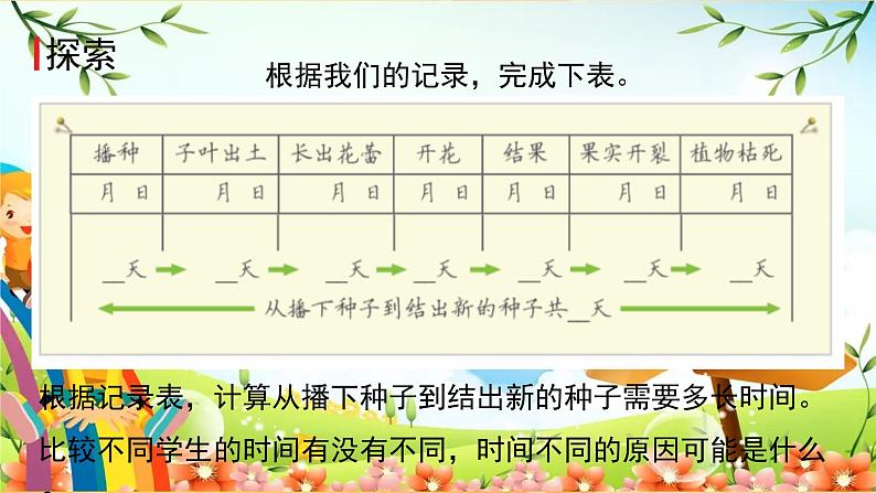 教科版科学四年级下册 第8课时 凤仙花的一生 课件第6页