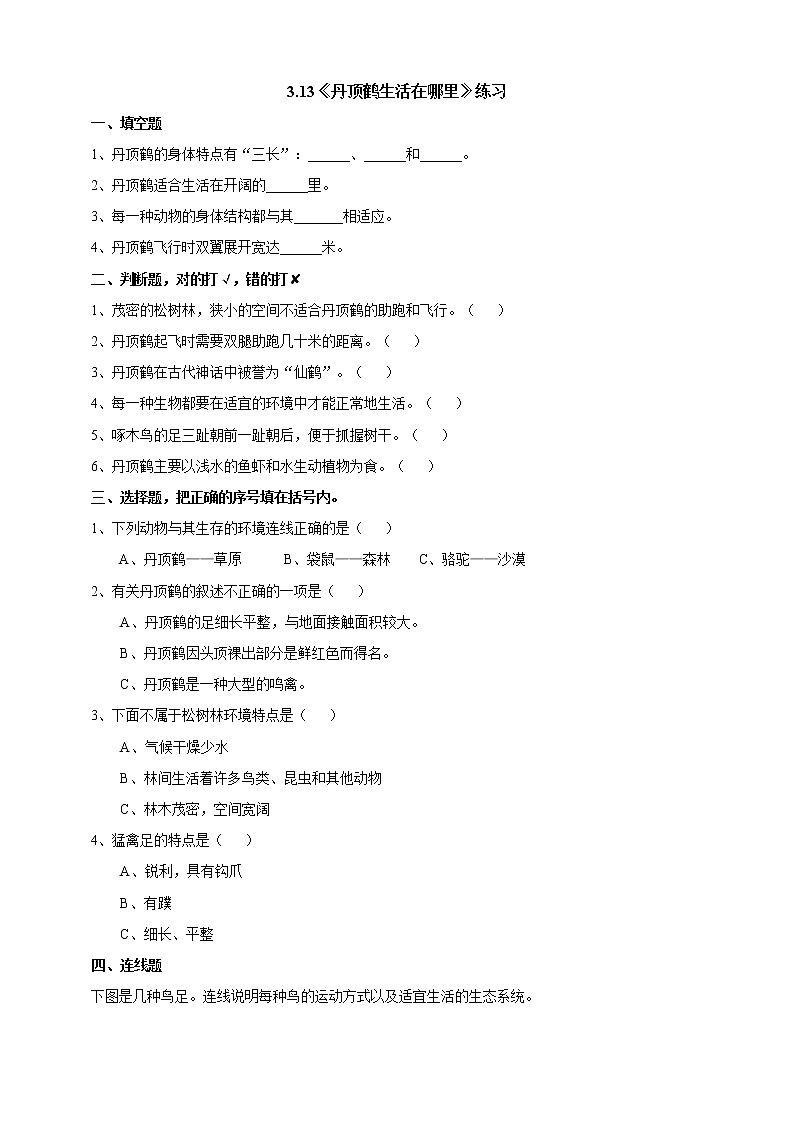 粤教粤科版六下科学3.13《丹顶鹤生活在哪里》课件+教案+练习+素材01
