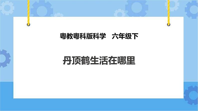 粤教粤科版六下科学3.13《丹顶鹤生活在哪里》课件+教案+练习+素材01