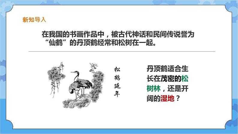 粤教粤科版六下科学3.13《丹顶鹤生活在哪里》课件+教案+练习+素材03